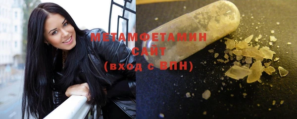 сатива Ельня