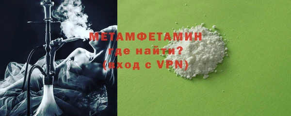 сатива Ельня