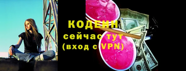 МДПВ Елизово