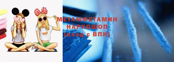 сатива Ельня