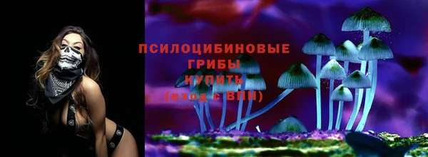 твердый Елабуга