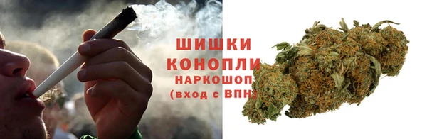 сатива Ельня