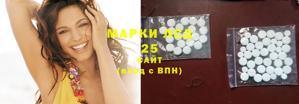 сатива Ельня