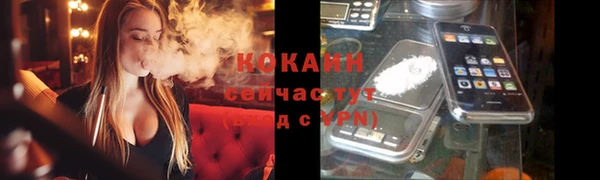 сатива Ельня