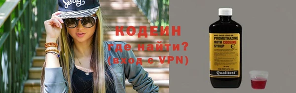 сатива Ельня