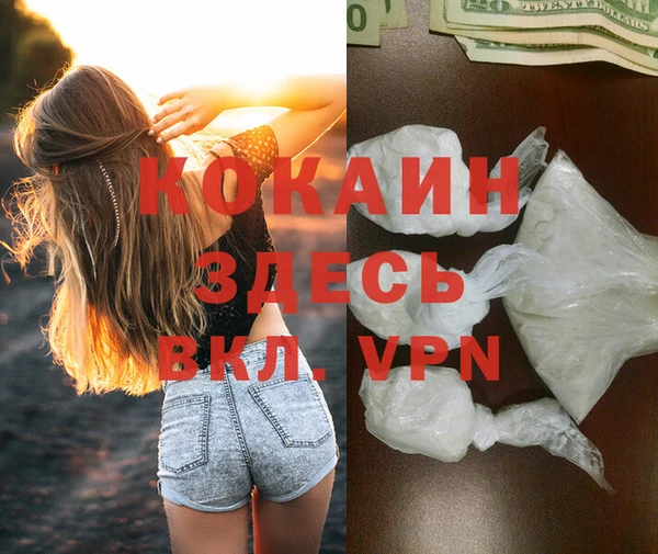 сатива Ельня