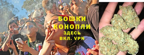 сатива Ельня