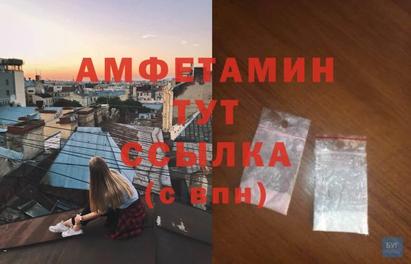 сатива Ельня