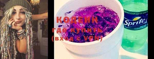 МДПВ Елизово
