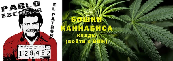 МДПВ Елизово