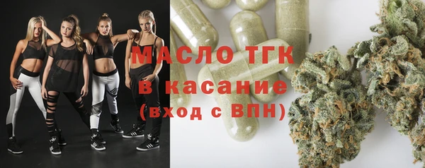 сатива Ельня