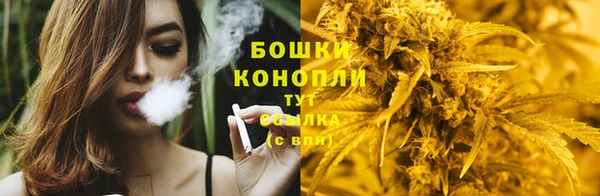 МДПВ Елизово