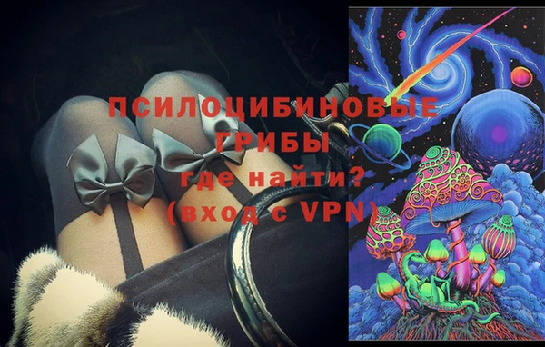сатива Ельня