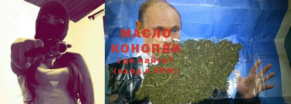сатива Ельня