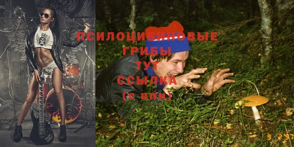 сатива Ельня