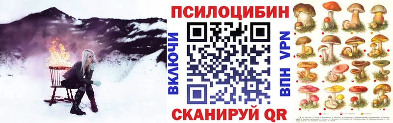 Псилоцибиновые грибы Psilocybine cubensis  ссылка на мегу вход  Зубцов 